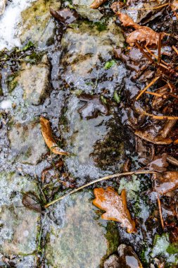 Çakıl taşlarının yüzeyi buzla, buzla, buzla kaplı.