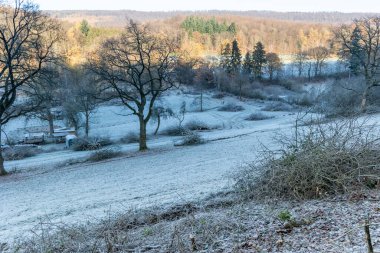 Kışın ısınmak için yakacak odun, dağ manzarası, testere kütükleri ve dallar.