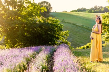 Sarı elbiseli ve hasır şapkalı hamile bir kadın batan güneşin ışınlarında açan lavanta tarlasının kenarında duruyor.