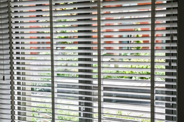 Blinds shade window decoration interior of room. Cellular horizontal slate, panel, track or shutter to allow natural light, sunlight or sunshine to inside room or office.