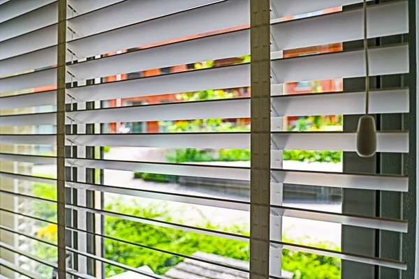 遮阳窗装饰房间的内部 蜂窝水平板 轨道或快门窗 使室内或办公室有自然光 阳光或阳光 图库图片