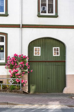 Eski bir evin girişinde tırmanan bir gül çalısı.