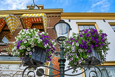 Çiçek saksıları, bir Avrupa şehrindeki evlerin arka planına karşı bir sokak lambası direğinde asılı.