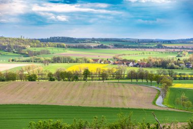 Yeşil çayırları olan güzel bahar manzarası, ufukta güzel bulutlar olan gökyüzü.
