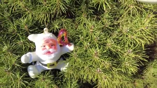 Zabawkowy Święty Mikołaj Święty Mikołaj Drzewie Nowy Rok Niezwykły Święty — Wideo stockowe