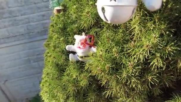 Hračka Santa Claus Santa Claus Stromě Nový Rok Neobvyklý Santa — Stock video