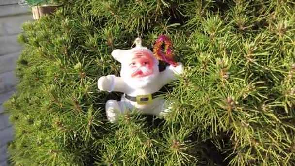 Toy Santa Claus Santa Claus Tree New Year Unusual Santa — Stock Video
