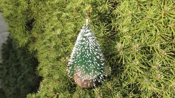 Spielzeugbaum Weihnachtsbaum Schöner Eleganter Grüner Weihnachtsbaum Helle Girlanden Neues Jahr — Stockvideo