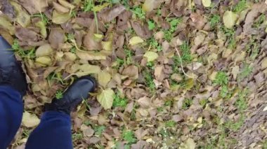 Siyah erkek ayakkabıları ve sonbahar yaprakları. Adam yaprakların üzerinde yürür. Bacaklar ve sonbahar yaprakları. Siyah ayakkabılar patika boyunca gider. Gezinti. Bacaklar. bağcıklar.