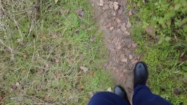 Sapatos Masculinos Pretos Folhas Outono Homem Anda Nas Folhas Pernas — Vídeo de Stock