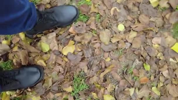 Чорне Чоловіче Взуття Осіннє Листя Чоловік Ходить Листю Ноги Осіннє — стокове відео