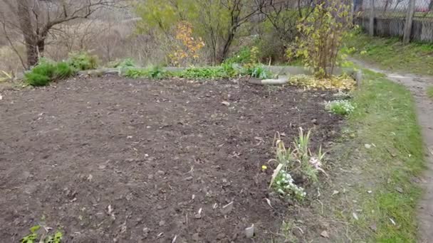 가을에 가을에는 정원의 정원에 성장기를 연장한다 전장에 채소밭 — 비디오