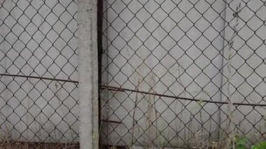 Gri çit. Çit örgüsü. beton gri çit