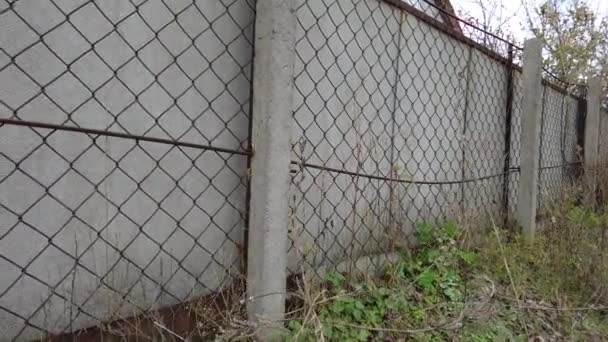 Gri Çit Çit Örgüsü Beton Gri Çit — Stok video