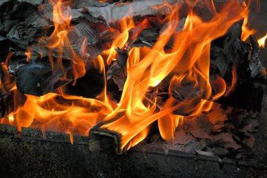 Yanan odun ve kağıt. Yakacak odun yanıyor. Ateş dilleri. turuncu alev. Şenlik. Odun ateşinde pişirme. Yakacak odun barbekü yapmak için yanıyor.