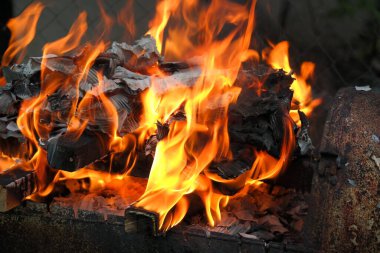 Yanan odun ve kağıt. Yakacak odun yanıyor. Ateş dilleri. turuncu alev. Şenlik. Odun ateşinde pişirme. Yakacak odun barbekü yapmak için yanıyor.