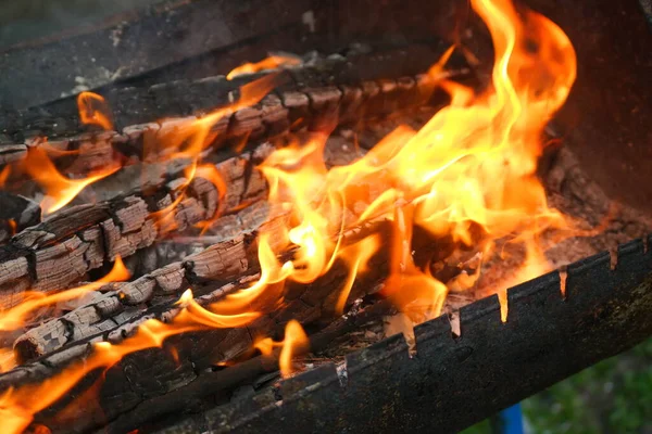 烧木头和纸 柴火在燃烧 橙色的火焰 烧木柴的烹调 烤肉用的柴火在燃烧 — 图库照片