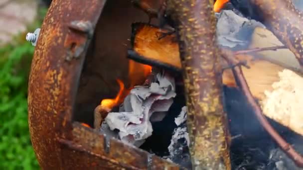 Spalanie Drewna Papieru Drewno Opałowe Płonie Języki Płomieni Pomarańczowy Płomień — Wideo stockowe