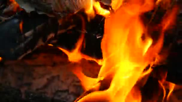 Holz Und Papier Verbrennen Brennholz Brennt Zungen Der Flamme Orangefarbene — Stockvideo
