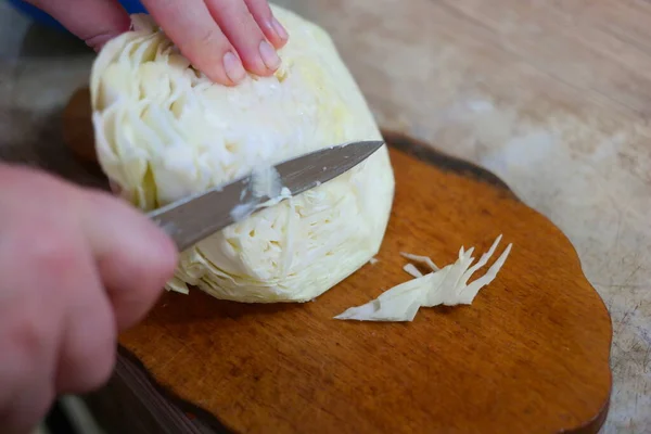 Trituratore Cavolo Cucinare Crauti Tagliare Cavolo Carote Con Coltello Composizione — Foto Stock