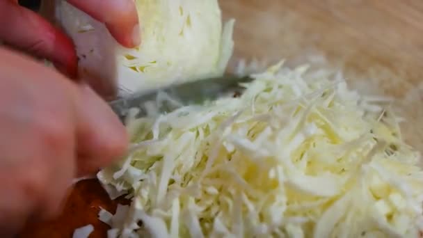 Trituradora Col Cocinar Chucrut Cortar Repollo Zanahorias Con Cuchillo Composición — Vídeo de stock