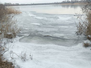 Nehirdeki buz. Donmuş nehir. Kışın nehirle birlikte doğal manzara. Kıyıda donmuş su ve dallarla kışın nehir kıyısında. Bulutlu hava. Kıyıda kar var ve alçak çalılar büyüyor..