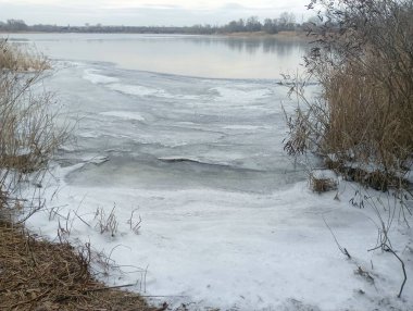 Nehirdeki buz. Donmuş nehir. Kışın nehirle birlikte doğal manzara. Kıyıda donmuş su ve dallarla kışın nehir kıyısında. Bulutlu hava. Kıyıda kar var ve alçak çalılar büyüyor..
