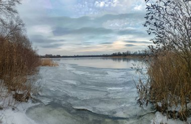 Nehirdeki buz. Donmuş nehir. Kışın nehirle birlikte doğal manzara. Kıyıda donmuş su ve dallarla kışın nehir kıyısında. Bulutlu hava. Kıyıda kar var ve alçak çalılar büyüyor..