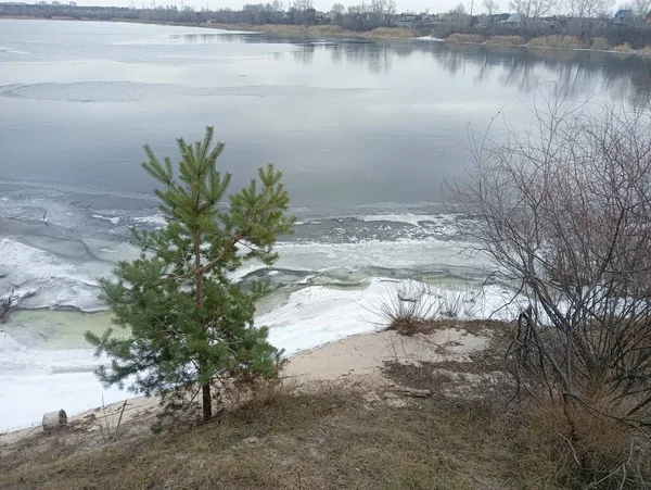Лед Реке Замерзшая Река Природный Ландшафт Рекой Зимой Зимний Берег — стоковое фото