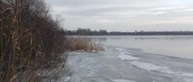 Nehirdeki buz. Donmuş nehir. Kışın nehirle birlikte doğal manzara. Kıyıda donmuş su ve dallarla kışın nehir kıyısında. Bulutlu hava. Kıyıda kar var ve alçak çalılar büyüyor..