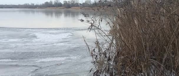Nehirdeki Buz Donmuş Nehir Kışın Nehirle Birlikte Doğal Manzara Kıyıda — Stok video