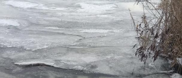 Eis Auf Dem Fluss Zugefrorener Fluss Naturlandschaft Mit Fluss Winter — Stockvideo