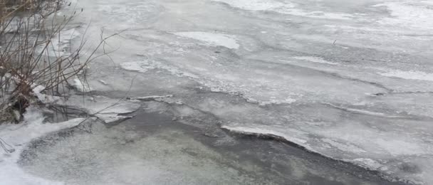 Led Řece Zamrzlé Řeky Přírodní Krajina Řekou Zimě Zimní Břeh — Stock video