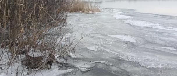 Lód Rzece Zamarznięta Rzeka Krajobraz Naturalny Rzeką Zimie Zimowy Brzeg — Wideo stockowe
