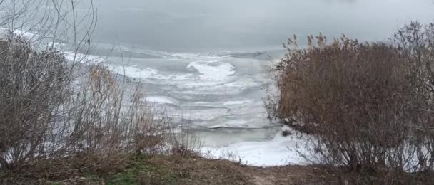 Glace Sur Rivière Rivière Gelée Paysage Naturel Avec Rivière Hiver — Video
