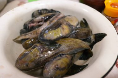 Balık temizliği. Gobiidae. Balık pişirmek. Kavanozda balık. Ev yemeği. Şef, beyaz çiğ balığı pazar için hazırlıyor. Fileto ve fileto, tüm morina balığını bıçakla keser. gobiformes