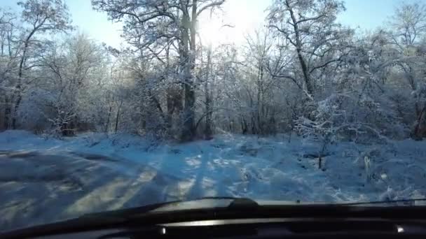 Arabanın Içinde Kötü Bir Yolda Araba Kullanmak Asfaltta Delikler Var — Stok video