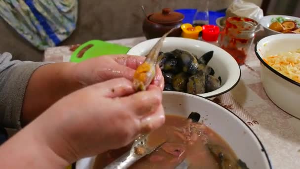 鱼清洗 Gobiidae 鱼缸里的鱼 厨师为市场准备了白生鱼片 鱼片和鱼腰都是用刀从整个鳕鱼身上割下来的 Gobiformes — 图库视频影像