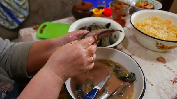 Καθαρισμός Ψαριών Γκόμπιιντς Μαγείρεμα Ψαριών Ψάρι Ένα Μπολ Κουζίνα Στο — Αρχείο Βίντεο