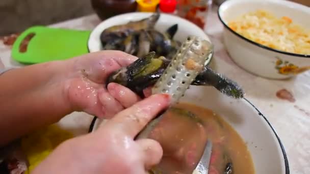 Pulizia Del Pesce Gobiidae Cucinare Pesce Pesce Una Ciotola Cucina — Video Stock