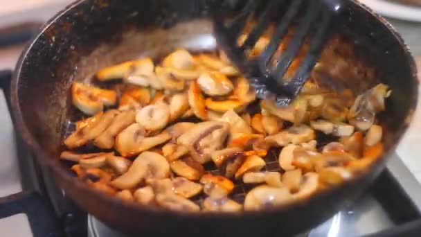 Gebratene Champignons Einer Pfanne Gebratene Pilze Hausküche Gebratene Pilze Champignons — Stockvideo