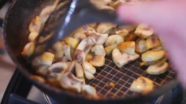 把蘑菇放在锅里煎 炸蘑菇 家厨房 油炸蘑菇 香菇都撒满了切碎的绿色菊花 家厨房 有选择的重点 切碎蘑菇的特写 — 图库视频影像