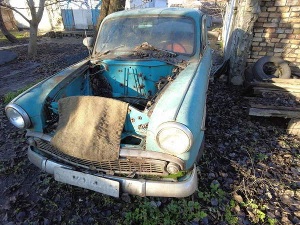 soviet retro broken car. Steadycam shot of broken rusty cars in green grass. Camera moving through old cars.  Abandoned rusty vintage car with peeling paint,