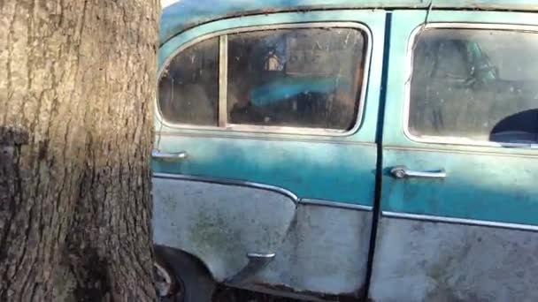 Sovyet Eski Model Bozuk Araba Yeşil Çimenlikteki Kırık Paslı Arabaların — Stok video
