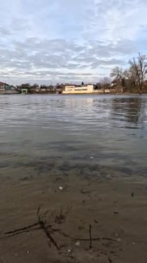 Manzaralı dikey video. Suyla birlikte dikey manzara. Kış nehri. Su akışı. Ukrayna manzarası. Ukrayna.