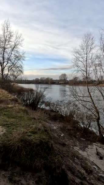 Вертикальное Видео Пейзажем Вертикальный Пейзаж Водой Зима Вода Течёт Украинский — стоковое видео