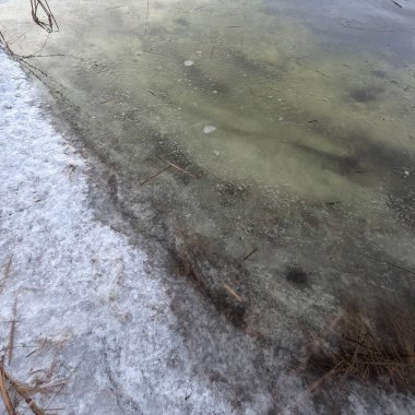 Donmuş su. Nehirdeki temiz buz. Nehir dibi ve buz. Buz ve karı eritir. İlkbahar buzu.
