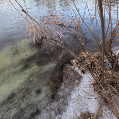 Donmuş su. Nehirdeki temiz buz. Nehir dibi ve buz. Buz ve karı eritir. İlkbahar buzu.