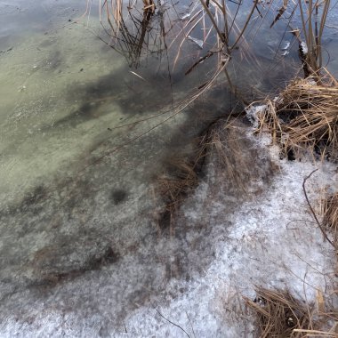 Donmuş su. Nehirdeki temiz buz. Nehir dibi ve buz. Buz ve karı eritir. İlkbahar buzu.