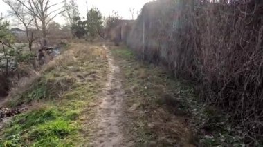 Bir adam yol boyunca yürür. Yüksek kalitede görüntüler. Dar yol. 5.3 km video. Ukrayna manzarası. Ukrayna.